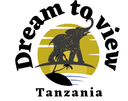 Dream To View Tanzania