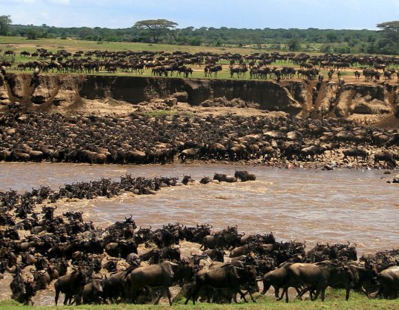 Serengeti National Park