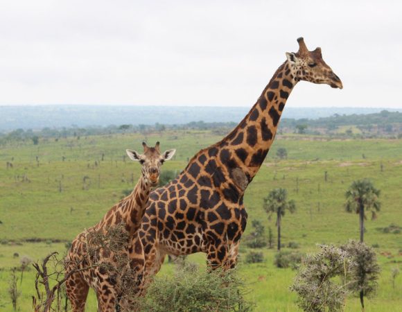 Arusha National Park